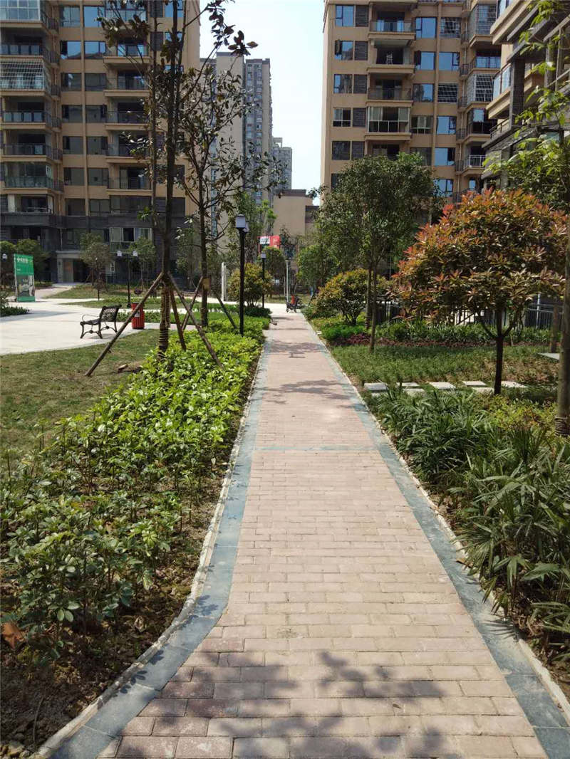 綠化工程在城市中如何進(jìn)行