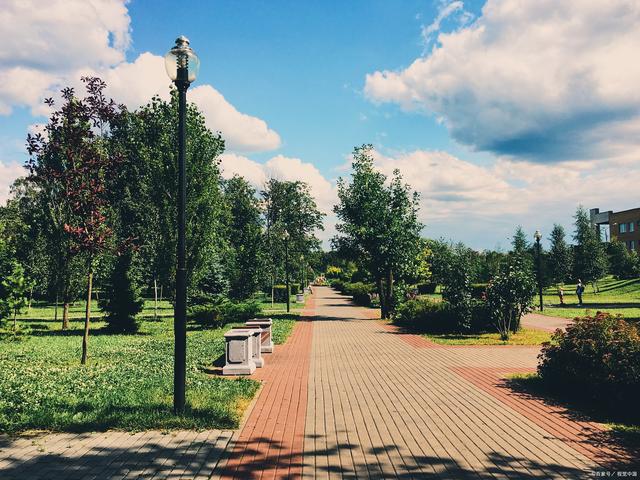 綠化補植忙，提升顏值不負“青